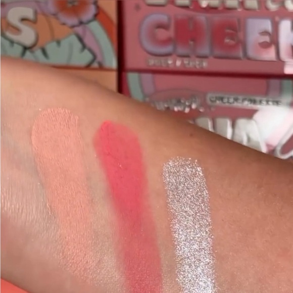 Alamar Cosmetics VIVAS las CHEEKAS palette & Laruce LR309 Cheek Brush - Picture 9 of 11